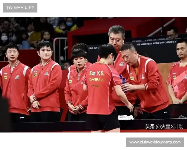 波尔退役纪念商品热销德国乒协筹备精彩告别赛 波尔退役纪念商品热销德国乒协筹备精彩告别赛
